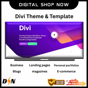 Divi Theme