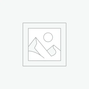 Web Scripts